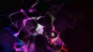 فلوانس تنضم إلى برنامج منح تون