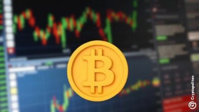 "بينانس" تحافظ على صدارتها وسط نمو نشاط البورصات المركزية في أكتوبر