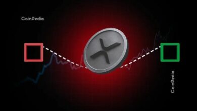 ما الذي يتطلبه الأمر لوصول سعر XRP إلى 100 دولار؟