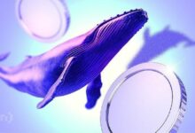 ماذا يشترى الحيتان في سوق العملات الرقمية مع بدء الانتعاش؟