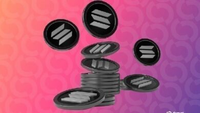 خزائن العملات المشفرة تتلاشى.. وصناديق الـ ETF للايداع ستهيمن على السوق: رئيس استراتيجيات SOL