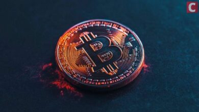 الأرجنتينيون يحتفظون بالبيتكوين أكثر من البيزو والعملات المستقرة