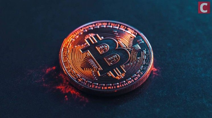 الأرجنتينيون يحتفظون بالبيتكوين أكثر من البيزو والعملات المستقرة