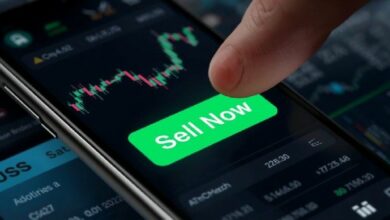 سهم بالانتير: هل يمكن تجاهل مضاعف الربحية P/E؟