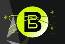 توم لي: أداء صندوق "بيت ماين" لا يقل سوءاً عن استراتيجيته الاستثمارية