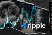 ريبل تحذر حاملي XRP من عمليات الاحتيال.. ما الجديد؟