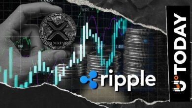 ريبل تحذر حاملي XRP من عمليات الاحتيال.. ما الجديد؟