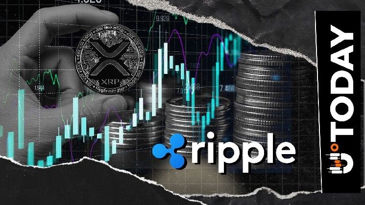 ريبل تحذر حاملي XRP من عمليات الاحتيال.. ما الجديد؟