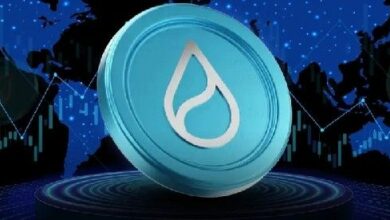سعر SUI يواصل التصحيح رغم النمو القوي للشبكة في الربع الثالث