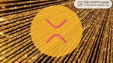 مؤسس عملة رقمية يشرح أصعب تحدي في الاحتفاظ بـ XRP