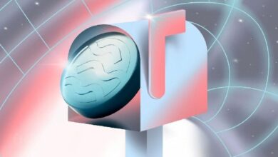 "DTCC تُدرج صندوق Canary للـ SEI المُرَهَن بينما يترقب السوق قرار هيئة الأوراق المالية"