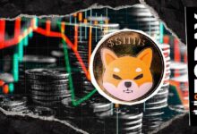 شيبا إنو (SHIB) تصمد في أكتوبر دون إضافة صفر جديد.. عشاق العملات الميمية يتطلعون لانتعاشة نوفمبر