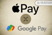 مهندس برمجيات يُفنّد ادعاءات تأييد آبل وجوجل لعملة XRP