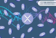 محلل: صناديق XRP المتداولة قد تستنفد المعروض العام بالكامل في عام