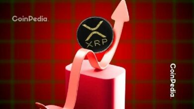 أخبار ريبل: كبير الاستثمار في بيتويس يشك في تفوق صندوق XRP ETF على سولانا لكنه يتوقع "نجاحًا كبيرًا"