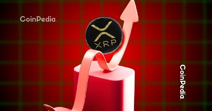 أخبار ريبل: كبير الاستثمار في بيتويس يشك في تفوق صندوق XRP ETF على سولانا لكنه يتوقع "نجاحًا كبيرًا"