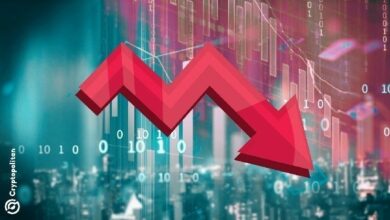 تراجع نشاط شبكات الطبقة الأولى بناءً على المحافظ النشطة خلال نوفمبر