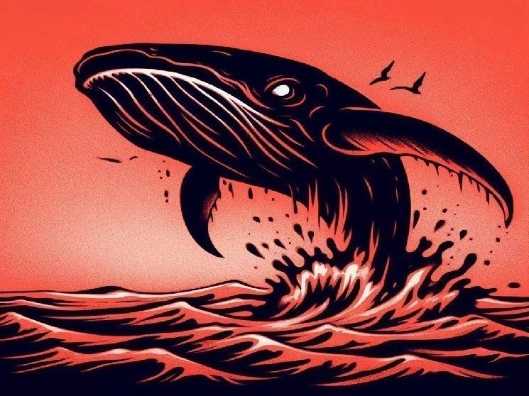 أكثر حوت تعيس في العام: خسارة 6 ملايين دولار أثناء محاولة شراء عملات مستقرة