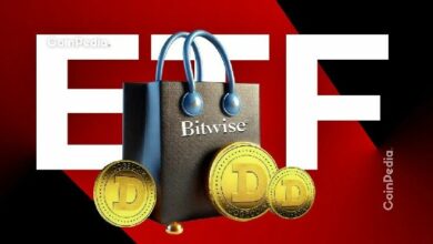 رئيس الاستثمار في بيتوايس: أكثر من 100 صندوق ETF للعملات الرقمية في الطريق