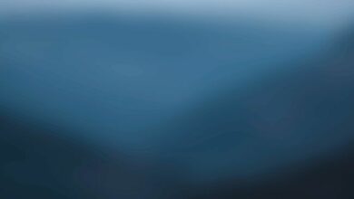 ثاريميون تجمع 545 مليون دولار لاستراتيجية كانتون كوين