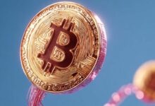 دفع الضرائب بالبيتكوين قد يعزز الاقتصاد الأمريكي بـ 14 تريليون دولار