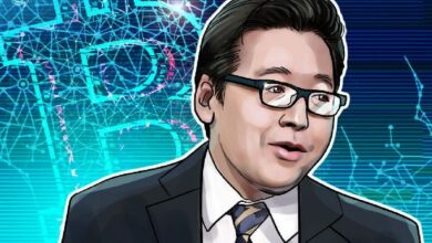 توم لي يعدّل توقعات البيتكوين: 250 ألف دولار أصبحت 'ربما' بحلول نهاية العام