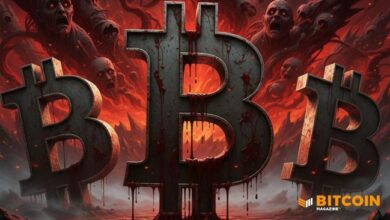 سعر البيتكوين يهوي دون 98 ألف دولار متجهاً نحو أدنى مستوى في ستة أشهر