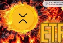 محلل يتوقع عدد صناديق XRP المتداولة التي قد تتراكم خلال عام واحد