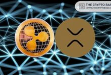 باحث: القيمة الحقيقية لـ XRP ستتكشف بعد الطرح العام لـ Ripple