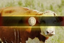 ارتفاع السيولة يدفع البيتكوين نحو مرحلة تراكم صاعدة