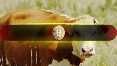 ارتفاع السيولة يدفع البيتكوين نحو مرحلة تراكم صاعدة