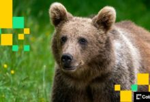 تقرير QCP: سوق البيتكوين يشهد "اتجاهاً هبوطياً حاداً" في التعاملات الآسيوية