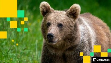 تقرير QCP: سوق البيتكوين يشهد "اتجاهاً هبوطياً حاداً" في التعاملات الآسيوية