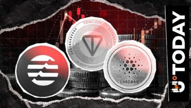 تون كوين (TON) وكاردانو (ADA) وسولانا (SOL) ضمن أكبر الخاسرين مع ركود سوق العملات الرقمية