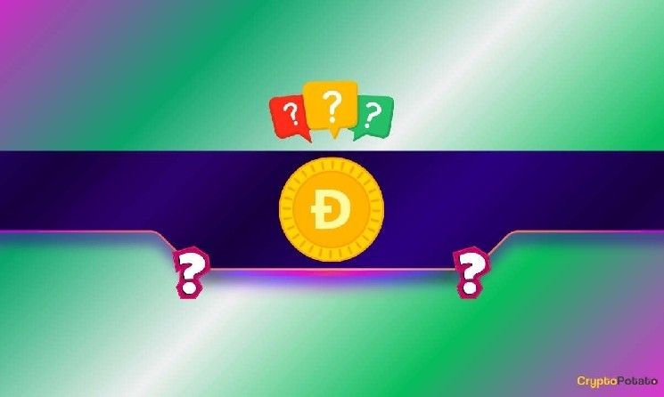 صناديق Dogecoin ETF تخرج باداء باهت: هذه مستويات DOGE الحرجة التي يجب مراقبتها