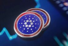 نشاط مكثف للحيتان في كاردانو (ADA) – بيانات السلسلة تكشف عن تحركات كبيرة