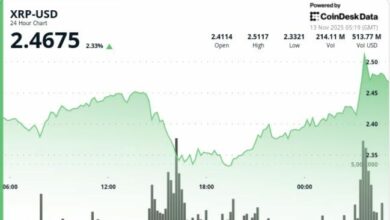 صعود XRP 3% مع بدء تداول صندوق ETF المرتبط بربل عند افتتاح السوق الأمريكية
