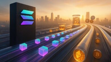 70 مليون معاملة يوميًا وحجم تداول 143 مليار دولار: كيف هيمن سولانا على سباق الإنتاجية في التمويل اللامركزي (DeFi)