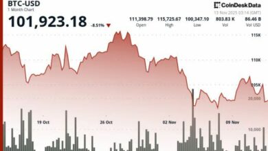 سعر البيتكوين ينخفض 0.9% مع اختبار الاختراق الحاد للتداول لدعم رئيسي