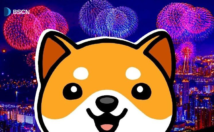 تقرير شهر أكتوبر من BabyDoge: إدراج Coinbase، صعود العقود الآجلة، والمزيد