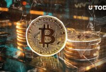 إلى أي مستوى سيهبط سعر البيتكوين في 2025؟