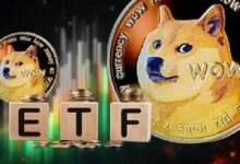 بيتوايز تستخدم مسار القسم 8(أ) لإطلاق صندوق بيتكوين دوغ المادي