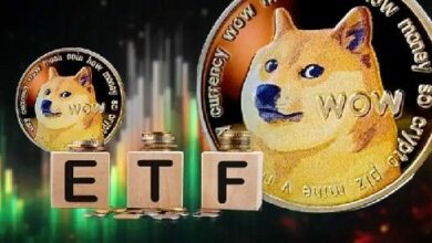 بيتوايز تستخدم مسار القسم 8(أ) لإطلاق صندوق بيتكوين دوغ المادي