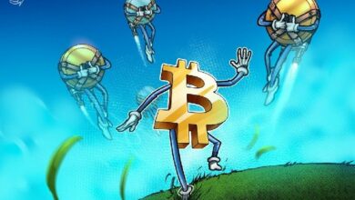 أنيموكا تراهن على صعود العملات البديلة لجذب المستثمرين استعدادًا للطرح العام الأولي