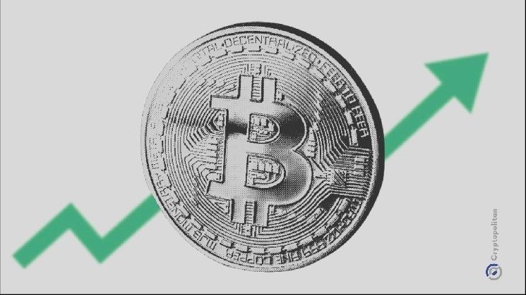 عنوان المقال: عناوين المُراكمِز تسرع وتيرة شراء البيتكوين لتقفز من 173,236 بيتكوين إلى 387,305 بيتكوين