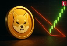 انخفاض حرق شيبا إينو 90% لكن نمط انعكاس صعودي يظهر على الرسوم البيانية