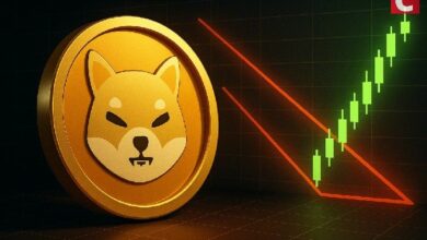 انخفاض حرق شيبا إينو 90% لكن نمط انعكاس صعودي يظهر على الرسوم البيانية