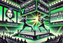 رئيس اليو إف سي دانا وايت يشيد برؤية في تشين طويلة المدى رغم تراجع سعر VET في نوفمبر