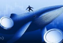 إيثيريوم تصمد أمام اختراق 3100 دولار بعد تصفية هايز بمليوني دولار واستيقاظ الحيتان