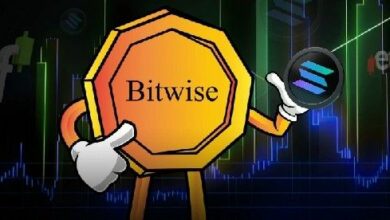 صندوق بيتوايس للاستثمار في سولانا يجذب 312 مليون دولار خلال 8 أيام متتالية من التدفقات